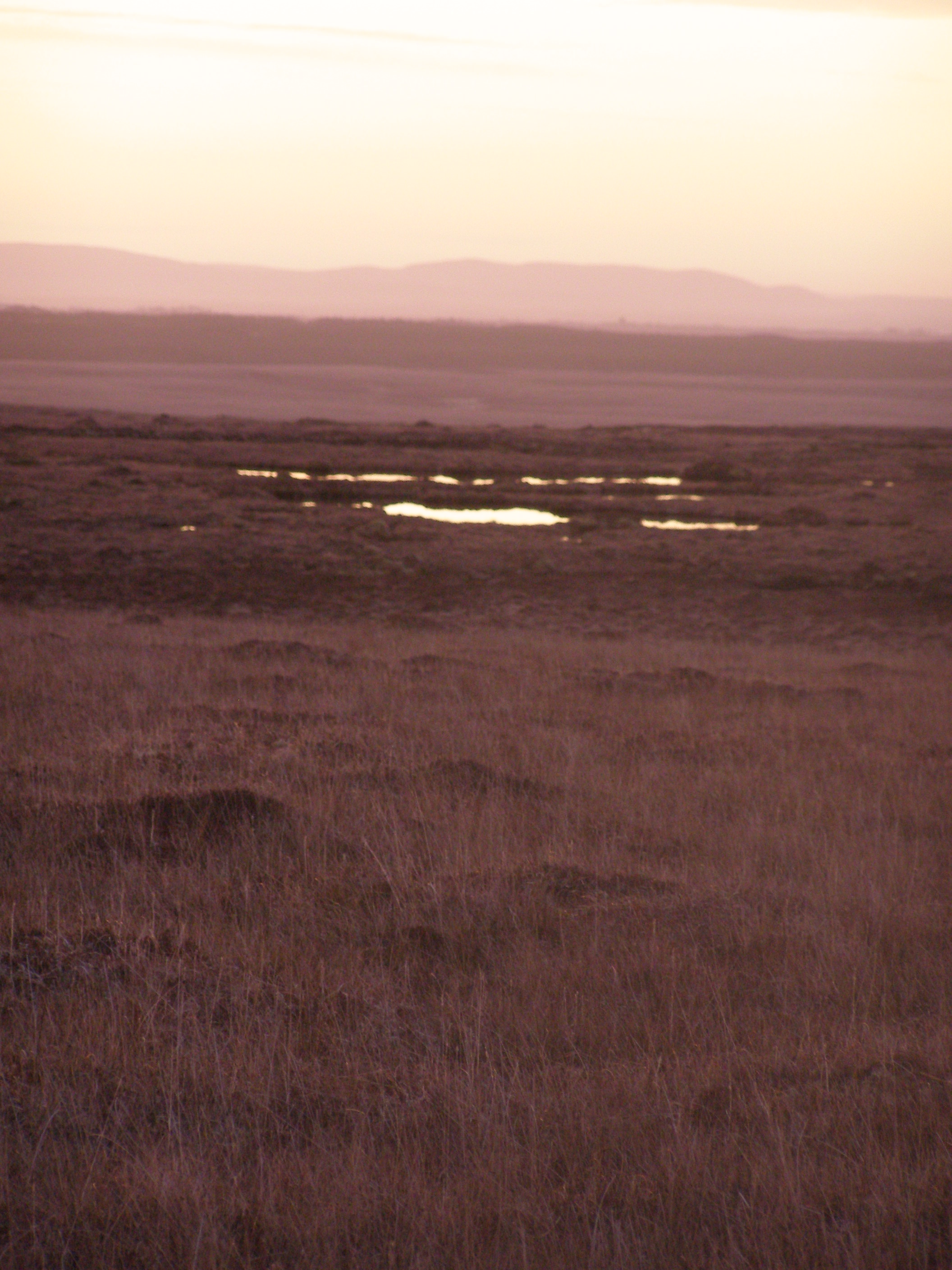 Blanket bog at dusk